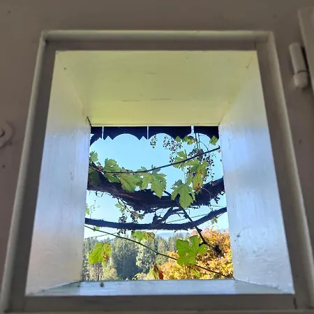 Semesterbostad Mueller Sankt Stefan ob Stainz