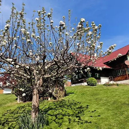 Semesterbostad Mueller