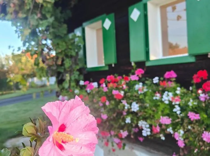 Dom wakacyjny Mueller Sankt Stefan ob Stainz